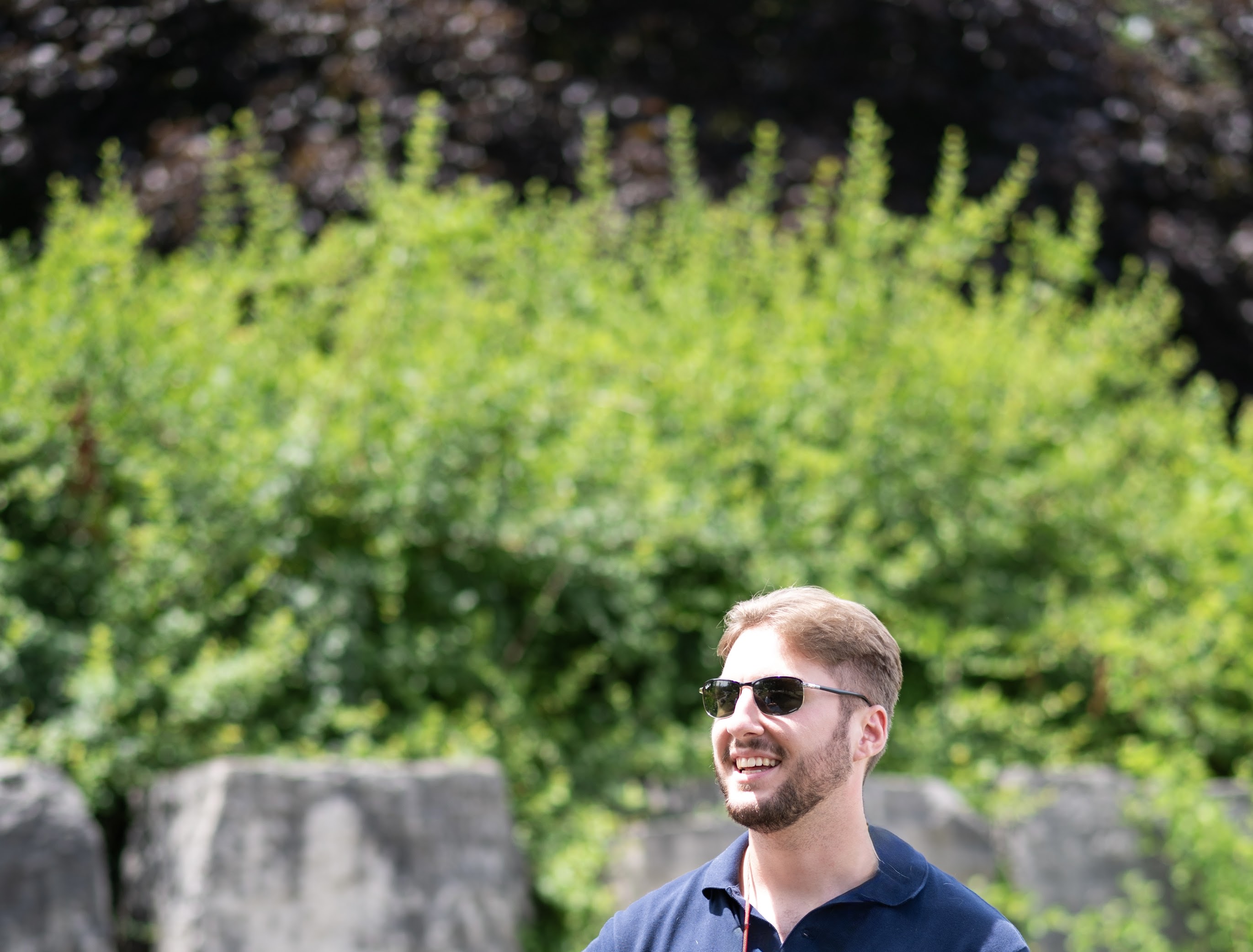 Woods in Oakville, ON